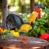 Small Mexican Painted Tin Rooster Sculpture