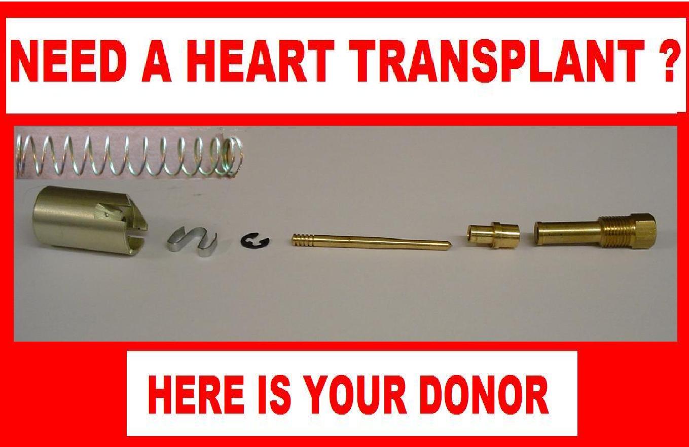  Be_Your_Own "CarBiologist" And_Give_Your Carb_A_Heart Transplant