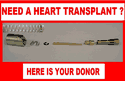 @ Be_Your_Own  "CarBiologist"  And_Give_Your Carb_A_Heart Transplant_!! ATC70_78_TO_85 C70_80_&_81 CT70_78_TO_82 SLIDE_AND_SPRING  NEEDLE_JET_SET  &_JET_HOLDER (217L)