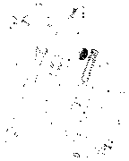 Click to enlarge