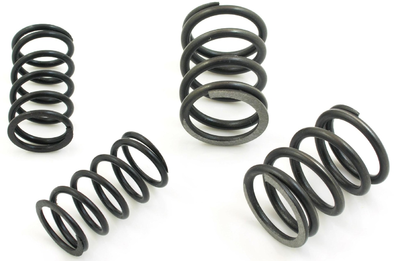  e HEAVY_DUTY VALVE_SPRINGS WITH_WIDER COIL_SPACING FOR_HI_LIFT_CAMS
