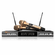 IDOLmain UHF-X2D Golden Dragons Engraved with Dependable Performance and Professional Graded Wireless Microphones 