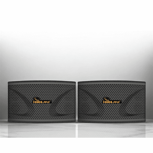 IDOLpro IPS-800 2400W 10" Powerful Speakers System with Built-in Bass Booster for Ultimate Karaoke Experience <sup><B><font color=" red">New 2025 </font></sup></B>