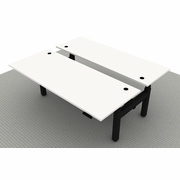 ^EHOMEBOOST^ DUAL HEIGHT ADJUSTABLE SIT STAND DESK 72 INCH WIDE SHIPS IN 5-7 DAYS. 12-14-2021.<br><font color=red>Contact Us:</font><a href="mailto:tom@ergonomichome.com">tom@ergonomichome.com</a></font><br>Or Call: <a href="tel:+18775502678">877-550-2678</a>