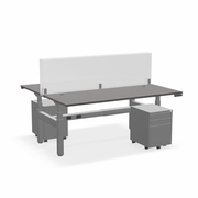 ^EHOMEBOOST^ PRO 30"x72"<br>CONTROL ROOM DESK<br> 2-STATION: SHADOW ELM & SILVER<br>WITH SURFACE MOUNT GLASS DIVIDERS & MOBILE FILE CABINET<br><font color=red>Contact Us:</font><a href="mailto:tom@ergonomichome.com">tom@ergonomichome.com</a></font><br>Or Call: <a href="tel:+18775502678">877-550-2678</a>