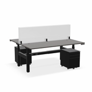^EHOMEBOOST^ PRO 30"x72"<br> ERGONOMIC STANDING DESK<br> 2-STATION: SHADOW ELM & BLACK<br>WITH SURFACE MOUNT GLASS DIVIDERS & MOBILE FILE CABINET<br><font color=red>Contact Us:</font><a href="mailto:tom@ergonomichome.com">tom@ergonomichome.com</a></font><br>Or Call: <a href="tel:+18775502678">877-550-2678</a>