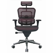 Ergohuman High-Back Mesh Chair Red.  FREE SHIPPING! <font color="#c60">Need A Quote?</font> <a href="mailto:tom@ergonomichome.com"> email questions.</a> Or Phone Home Free 877-550-2678. R71823 Ergohuman High-Back Mesh Chair Red.  FREE SHIPPING! <font color="#c60">Need A Quote?</font> <a href="mailto:tom@ergonomichome.com"> email questions.</a> Or Phone Home Free 877-550-2678. R71823