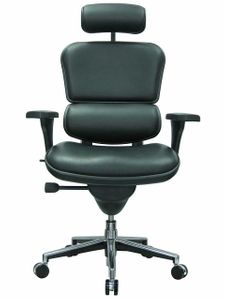 ergohuman-leather-high-back- ergohuman-leather-high-back-