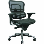 Ergohuman Mid-Back Office Chair Black. FREE SHIPPING! <font color="#c60">Need A Quote?</font> <a href="mailto:tom@ergonomichome.com"> email questions.</a> Or Phone Home Free 877-550-2678. R71823 Ergohuman Mid-Back Office Chair Black. FREE SHIPPING! <font color="#c60">Need A Quote?</font> <a href="mailto:tom@ergonomichome.com"> email questions.</a> Or Phone Home Free 877-550-2678. R71823