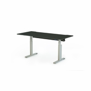 ErgoTrac Jr.<br>Standard Size<br>Stand Up Desk