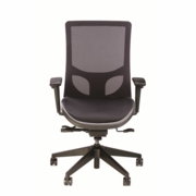 EVOLVE MESH BACK CHAIR #1565-25A EVOLVE MESH BACK CHAIR #1565-25A