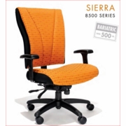 HEAVY DUTY, BIG & TALL CHAIRS SUPPORT 300LBS TO 600LBS: