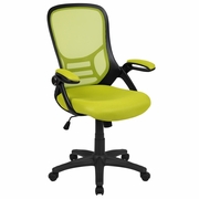 HIGH BACK GREEN MESH ERGONOMIC SWIVEL OFFICE CHAIR WITH BLACK FRAME AND FLIP-UP ARMS: <font color=green>FREE SHIPPING!</font> HIGH BACK GREEN MESH ERGONOMIC SWIVEL OFFICE CHAIR WITH BLACK FRAME AND FLIP-UP ARMS: <font color=green>FREE SHIPPING!</font>