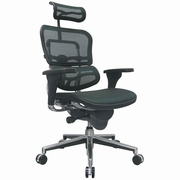 Mesh Chair By Ergohuman Is A High-Back Chair In Green. ITEM: EH-ME7ERG-GRN. FREE SHIPPING! <font color="#c60">Need A Quote?</font> <a href="mailto:tom@ergonomichome.com"> email questions.</a> Or Phone Home Free 877-550-2678. R71823 Mesh Chair By Ergohuman Is A High-Back Chair In Green. ITEM: EH-ME7ERG-GRN. FREE SHIPPING! <font color="#c60">Need A Quote?</font> <a href="mailto:tom@ergonomichome.com"> email questions.</a> Or Phone Home Free 877-550-2678. R71823