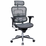 Mesh Coucil Chambers Chairs