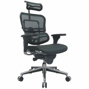 Mesh Office Chairs