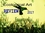 Ecological Art REVIEW 2017