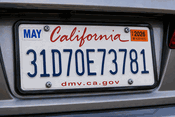 License Plate magnet 31d70e73781