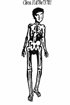 Click to enlarge