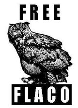 Free Flaco White t-shirt the Eurasian Eagle-Owl New York NYC NY - Free Shipping