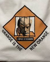 Orange is the New Orange Monopoly In Jail Trump Mugshot T-shirt on White free Shipping