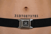 Honda Seatbelt Belt - Choose 31d70e73781