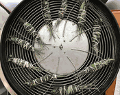 Slurricane Cannabis Leaves Smudge Sticks Weed