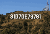 Magnet Hollywood Hills 31d70e73781