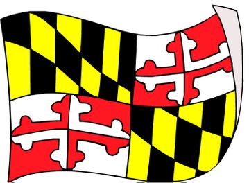Click to enlarge