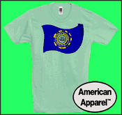 New Hampshire State Flag Cotton T shirts - Made in USA w/ optional custom t shirt printing