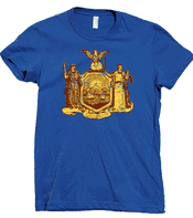 New York Flag Emblem Distressed Flag Motif