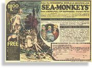 The Sea Monkey Worship Page