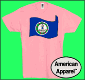 Virginia State Flag T-shirts - Made in USA w optional custom t shirt printing