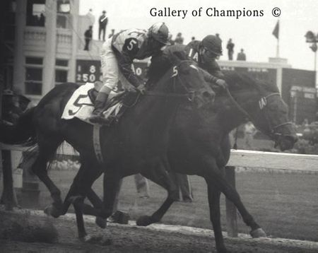 1957 Kentucky Derby Winning Race Horse Iron Leige