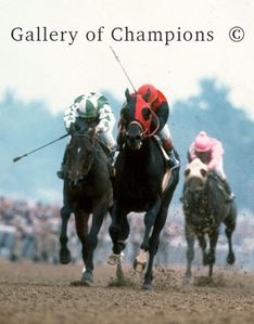 1976 Kentucky Derby Winner Bold Forbes - Angel Cordero Jockey