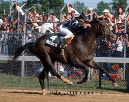 1979 Kentucky Derby Winner Spectacular Bid - Ronnie Franklin Jockey