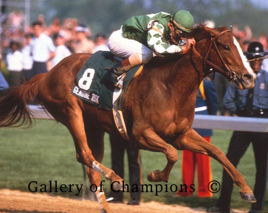 1980 Kentucky Derby Winning Race Horse Genuine Risk