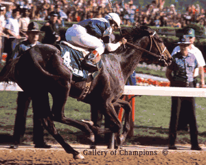 1981 Kentucky Derby Winning Race Horse Pleasant Colony