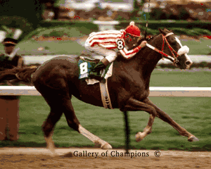 1983 Kentucky Derby Winning Race Horse Sunny's Halo