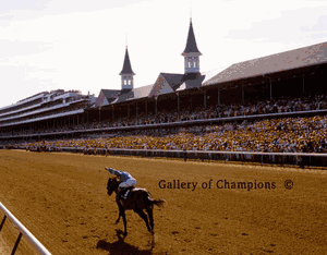 1985 Kentucky Derby Winner Spend A Buck - Twin Spires