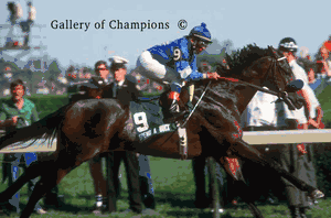 1985 Kentucky Derby Winning Race Horse Spend A Buck