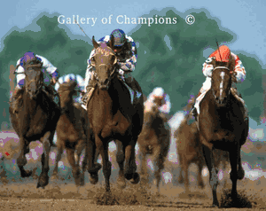 1987 Kentucky Derby Winner Alysheba - Head On
