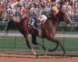 1990 Kentucky Derby Winner Unbridled - Picture Shipped Free