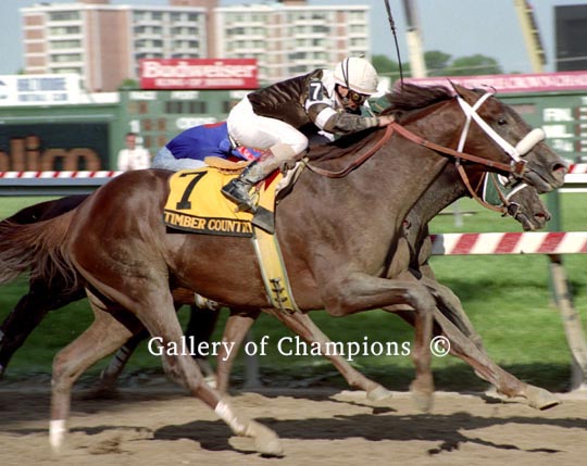 1995 Preakness Winning Race Horse Timber Country With Pat Day