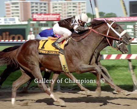 1995 Preakness Winning Race Horse Timber Country - With Pat Day