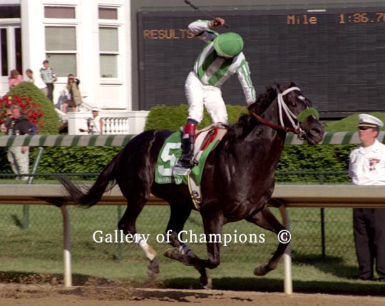 2002 Kentucky Derby Winner War Emblem Looking Back