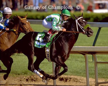 2002 Kentucky Derby Winner War Emblem - Stretch