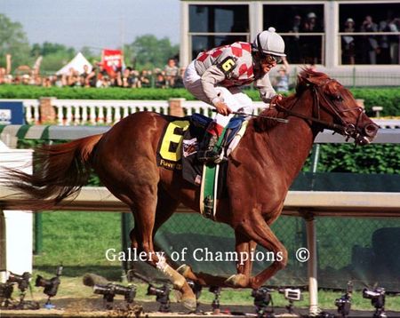 2003 Kentucky Derby Winner Funny Cide - Stretch