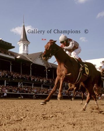 2003 Kentucky Derby Winner Funny Cide - Twin Spires