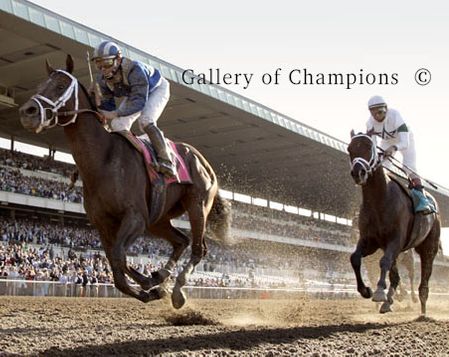 2006 Belmont Stakes Winner Jazil III - Head On